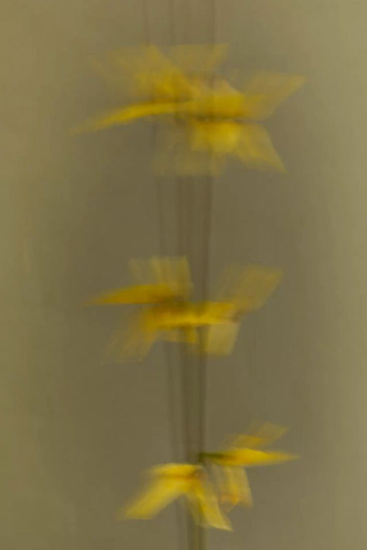 The smell of fermentation & waste