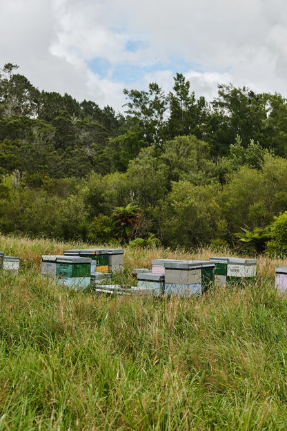 Beeswax Eau de Parfum